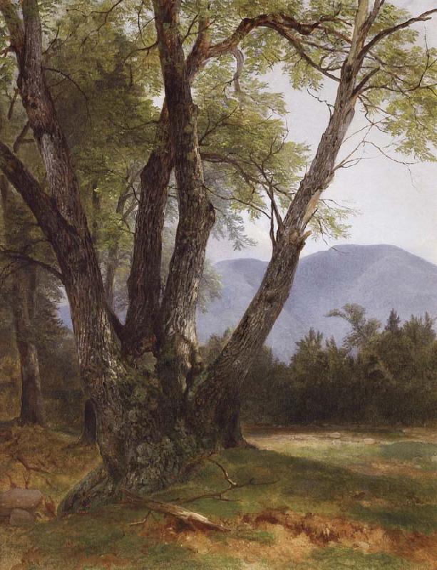 Asher Brown Durand Shandaken,Ulster County oil painting picture